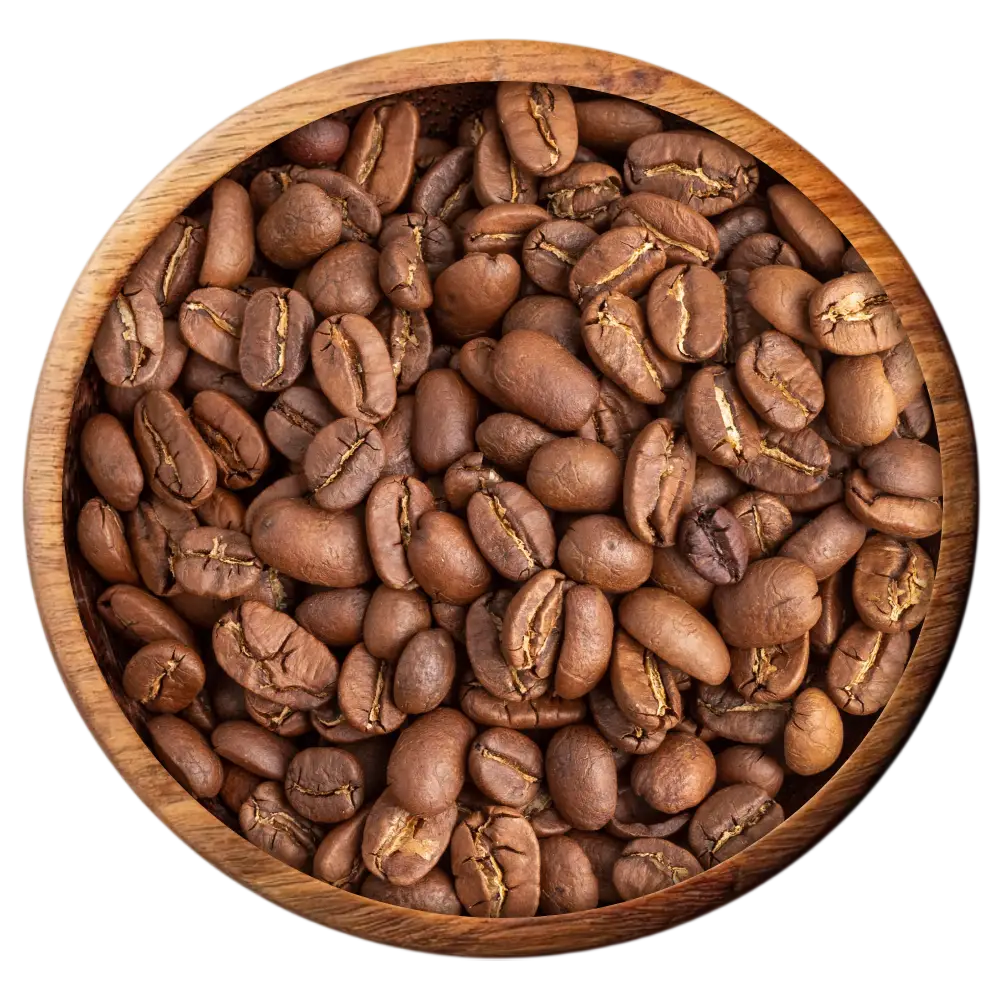 Premium Robusta Coffee Beans