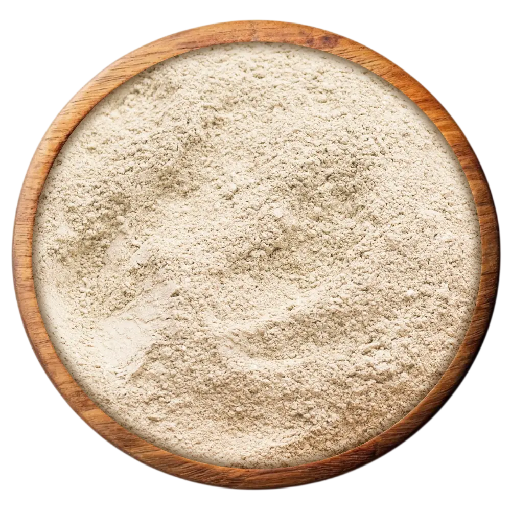 White onion powder